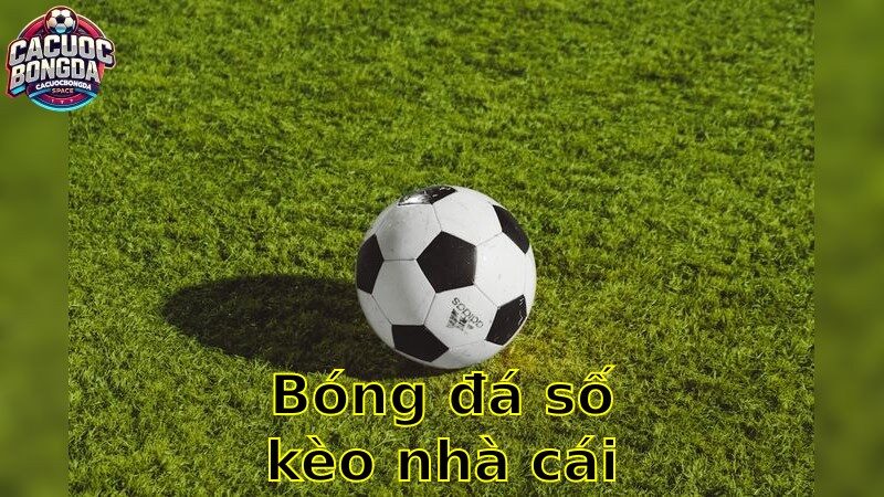 Bóng Đá Số Kèo Nhà Cái – Phân Tích Sâu Rộng 2025