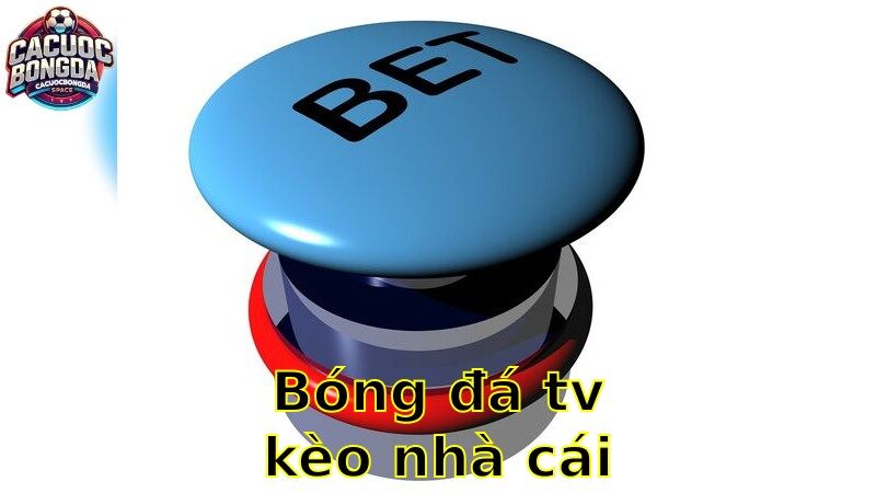 Bóng Đá TV Kèo Nhà Cái – Theo Dõi 24/7 2025