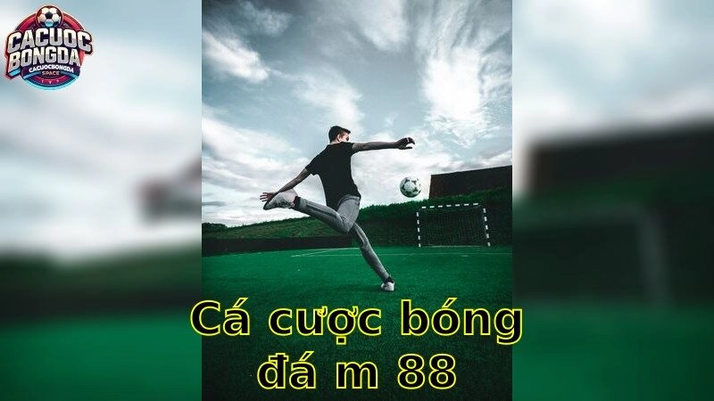 Cá cược bóng đá m88 – Nhà Cái Uy Tín Dành Cho Bạn 2025