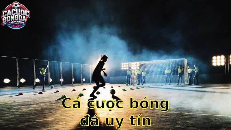 Cá cược bóng đá uy tín – Địa Chỉ Đáng Tin Cậy Cho Bạn 2025