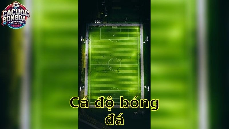 Cá độ bóng đá – Khám Phá Thế Giới Cá Cược Đỉnh Cao 2025
