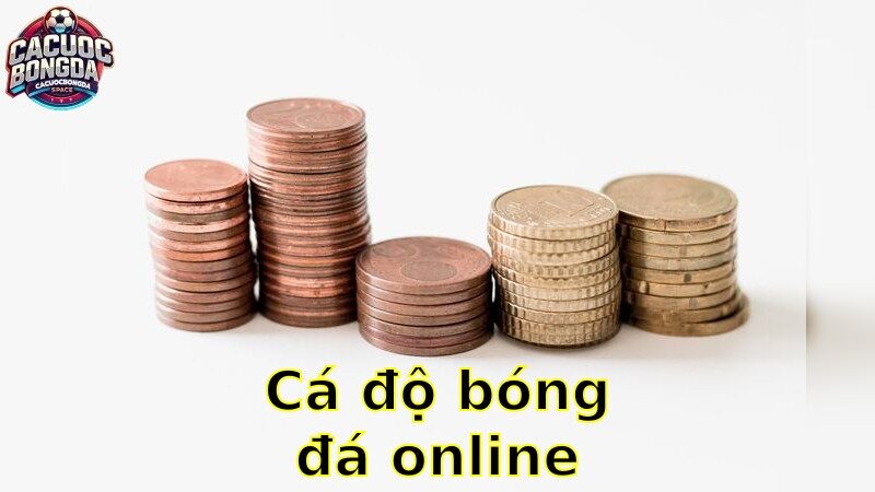 Cá độ bóng đá online – Tận Hưởng Trải Nghiệm Cá Cược Số 2025