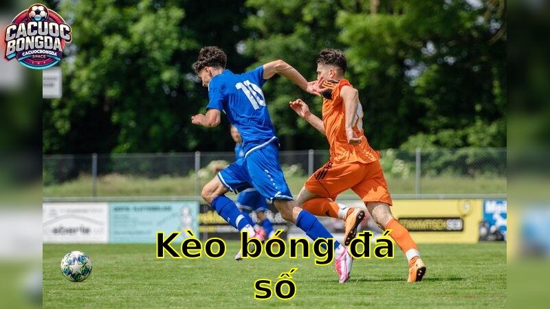 Kèo bóng đá số – Khám Phá Cơ Hội Thắng Lớn 2025