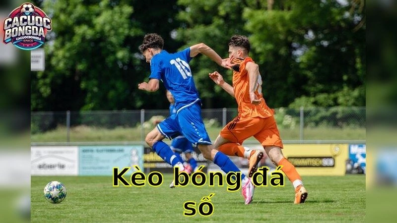 Kèo bóng đá số – Khám Phá Cơ Hội Thắng Lớn 2025