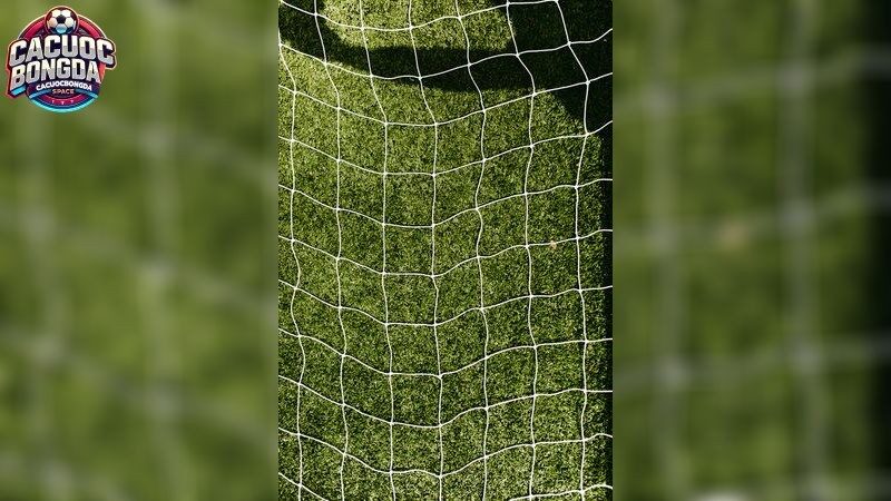 Khám Phá Các Dịch Vụ Tại May88