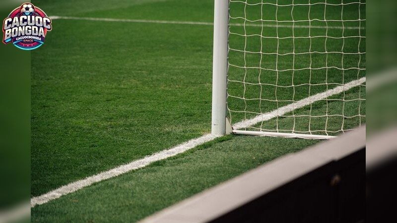 Lợi ích Của Tỷ Lệ Bóng Đá TV