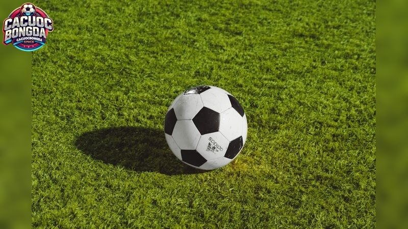 Lợi Ích Của Việc Chọn 1xBet