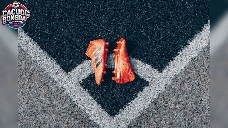 Lợi ích của việc theo dõi tỷ lệ kèo trực tuyến