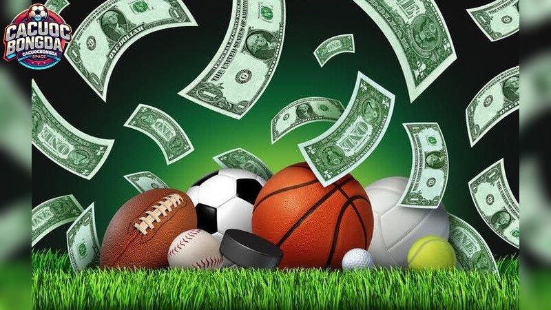 Lợi Ích Khi Hiểu Rõ Tỷ Lệ Bóng Đá Nhà Cái