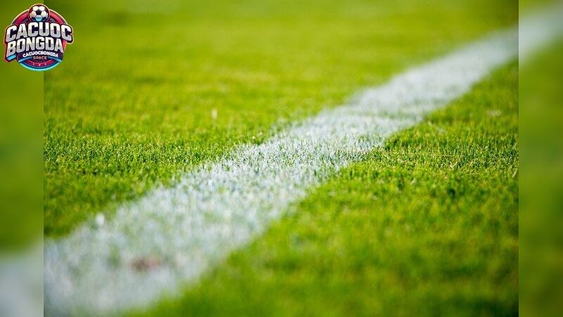 Lợi Ích Khi Sử Dụng Cổng Game Uy Tín Để Đặt Cược