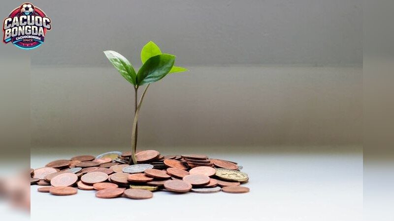 Lợi ích khi sử dụng soi kèo bet88