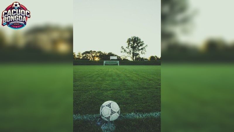 Lợi Ích Khi Sử Dụng Tỷ Lệ Kèo Từ Cổng Game Này