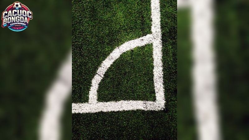 Nhận định bóng đá và tầm quan trọng của phân tích