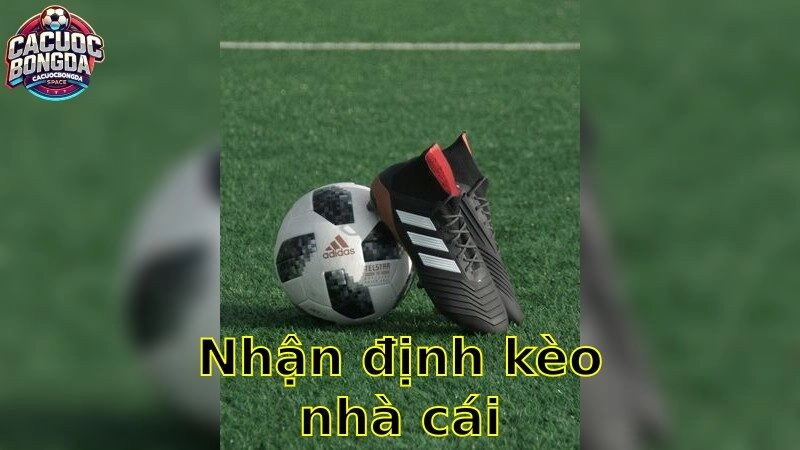 Nhận Định Kèo Nhà Cái – Dự Đoán Chính Xác 2025