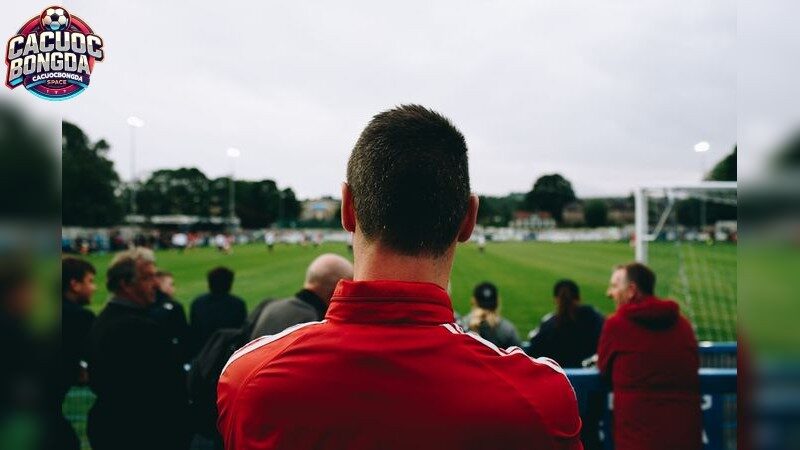 Phân tích thị trường cá cược bóng đá