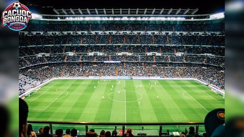 Sự Phát Triển Và Vai Trò Của Soi Kèo Trực Tiếp