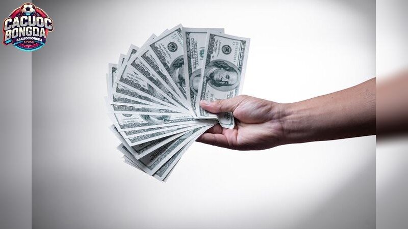 Tầm quan trọng của tỷ lệ bóng đá đêm nay