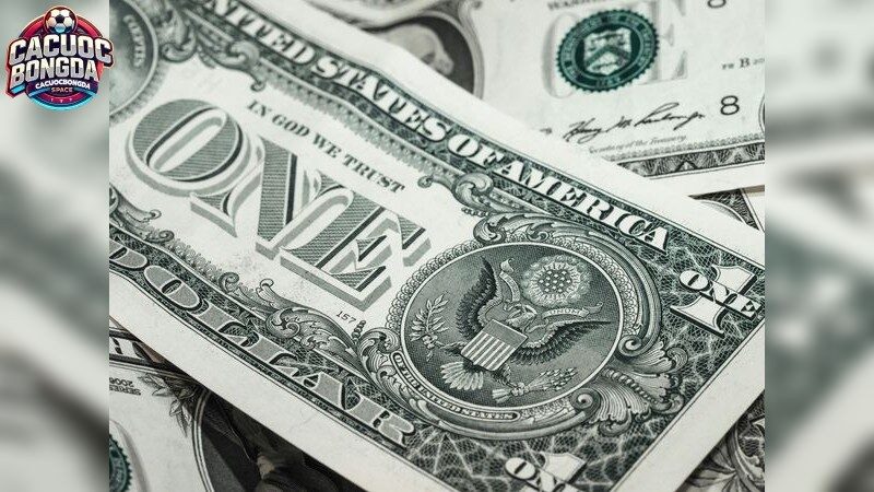 Tìm hiểu về cược xiên