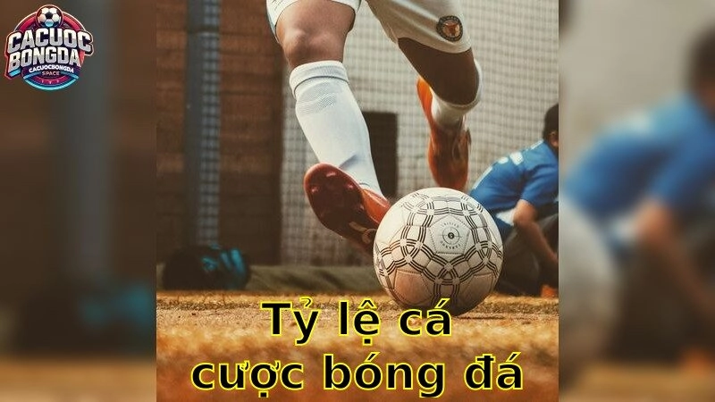 Tỷ Lệ Cá Cược Bóng Đá – Thắng Lớn Với Kèo Hot 2025