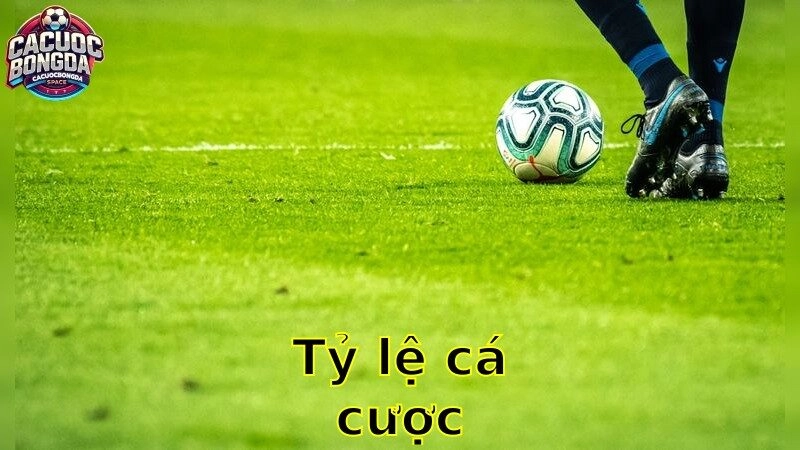 Tỷ Lệ Cá Cược – Chiến Lược Cược Thắng 2025