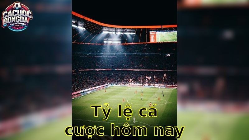 Tỷ lệ cá cược hôm nay – Đón Đầu Cơ Hội Và Chiến Thắng 2025