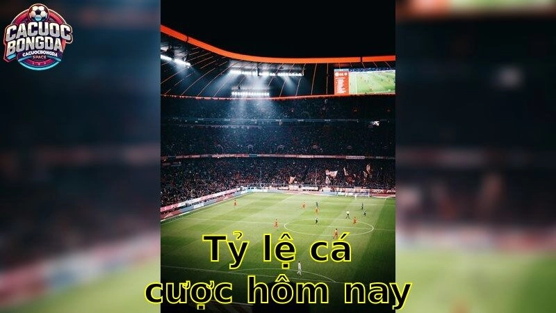 Tỷ lệ cá cược hôm nay – Đón Đầu Cơ Hội Và Chiến Thắng 2025