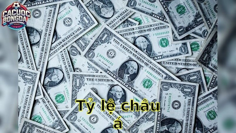 Tỷ Lệ Châu Á – Lên Kế Hoạch Đầu Tư 2025