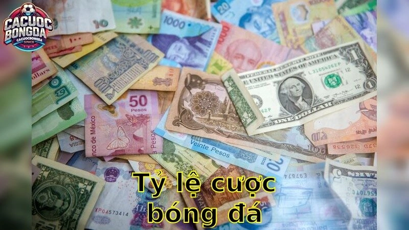 Tỷ Lệ Cược Bóng Đá – Xem Kèo Nóng 2025