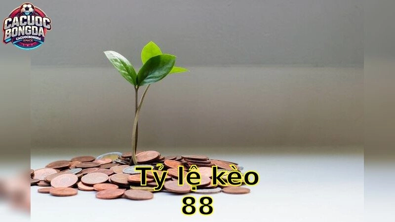 Tỷ Lệ Kèo 88 – Bắt Kèo Chính Xác Ngay 2025