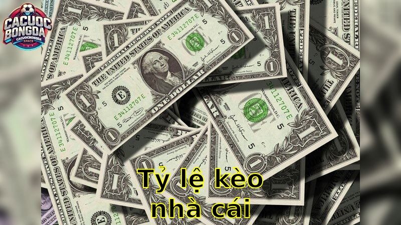 Tỷ Lệ Kèo Nhà Cái – Khám Phá Cơ Hội Thắng Lớn 2025