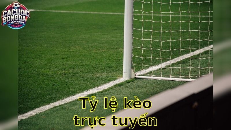 Tỷ Lệ Kèo Trực Tuyến – Cập Nhật Nhanh Nhất 2025