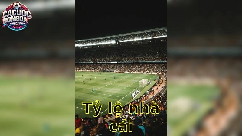 Tỷ Lệ Nhà Cái – Đặt Cược Vượt Trội 2025