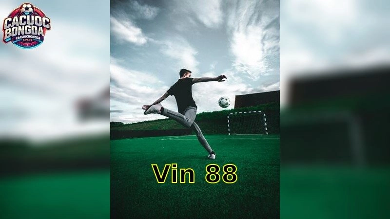 Vin88 – Kích Thích Mọi Giác Quan Cá Cược 2025